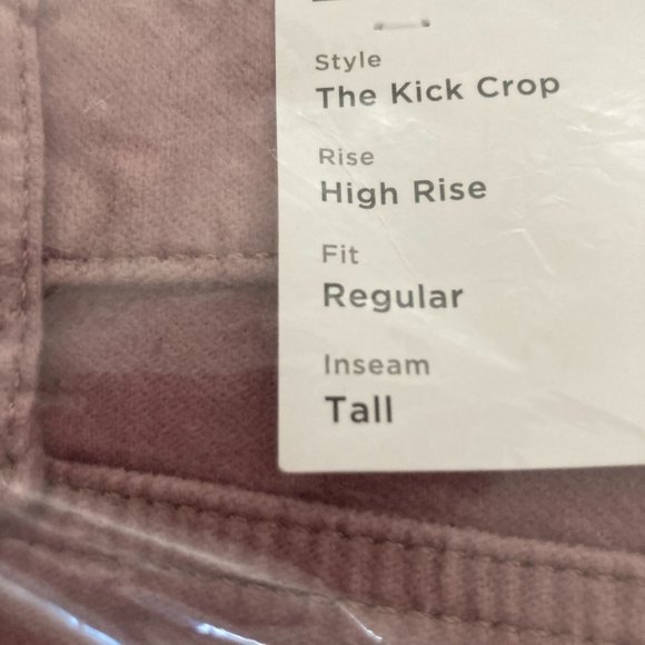 LOFT Tall Velvet Button Front Kick Crop Pants in Lavender Haze - Picture 6 of 6